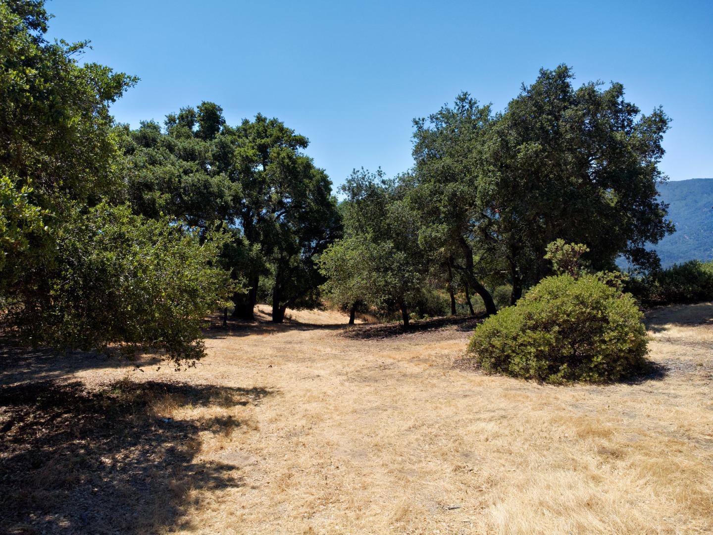 57 Chamisal Pass Carmel, CA 93923 - Photo 2 of 17 a view of a snow in the middle of a yard