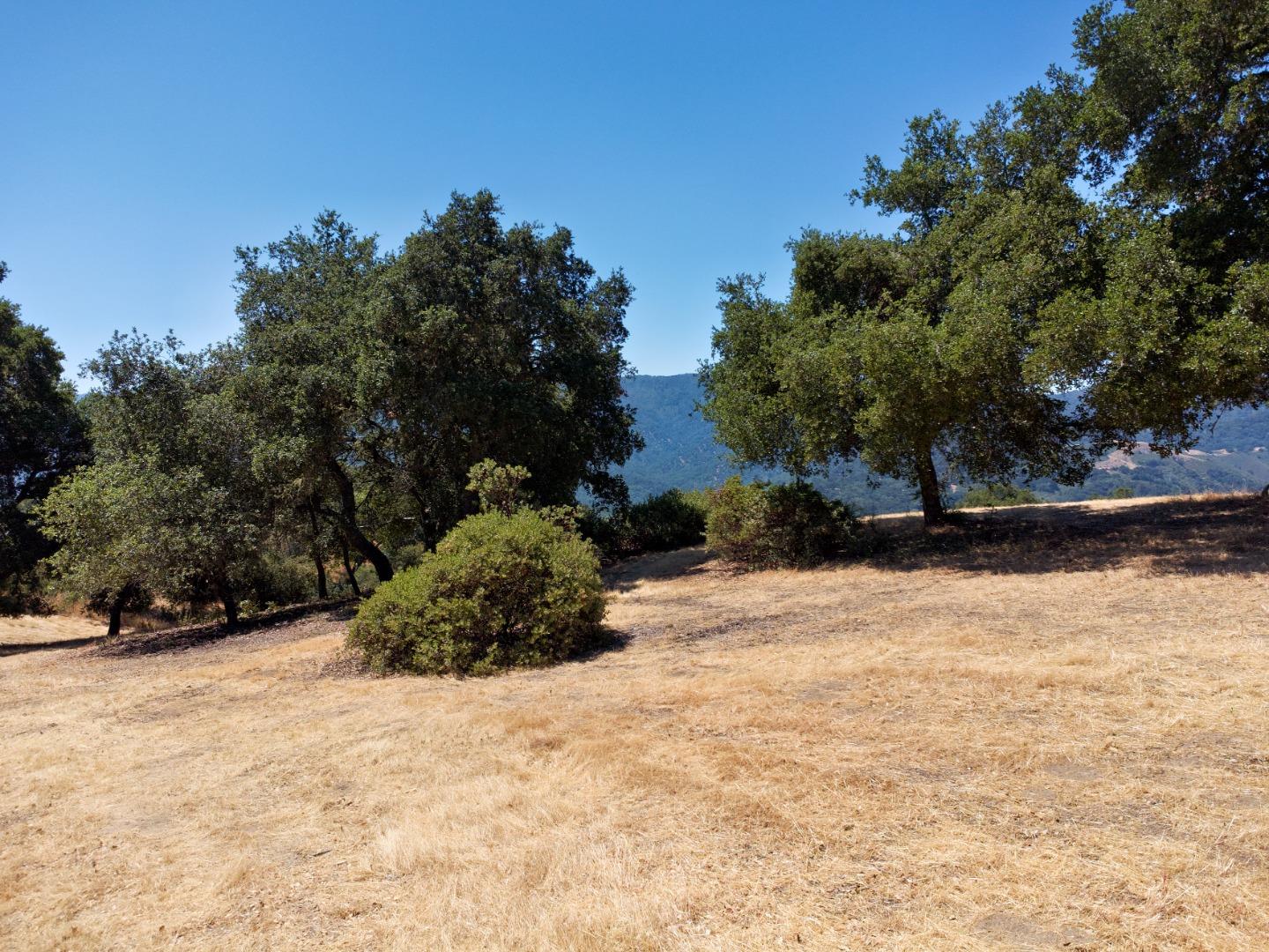 57 Chamisal Pass Carmel, CA 93923 - Photo 4 of 17 a view of a yard with a tree