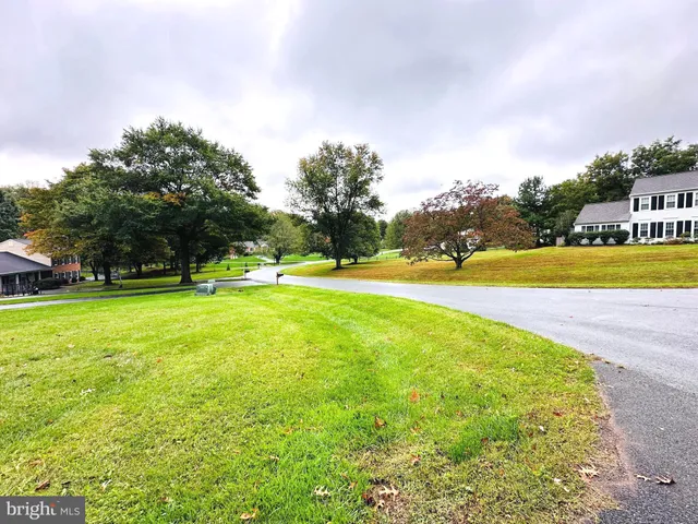 a view of a park with large trees and cars parked in the background
