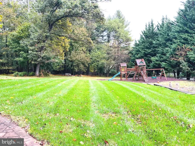a view of a park with large trees