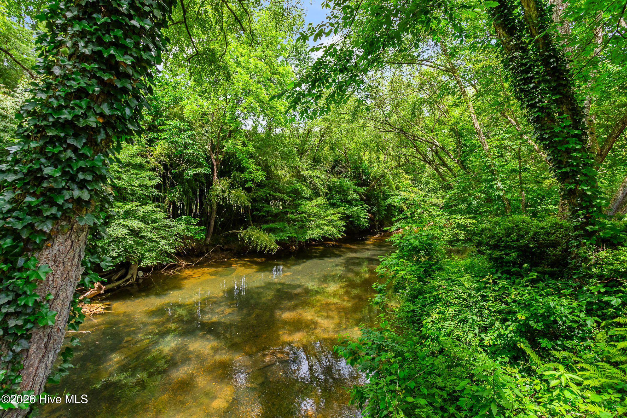 64 Canoe Bend Murphy, NC 28906 - Photo 7 of 71