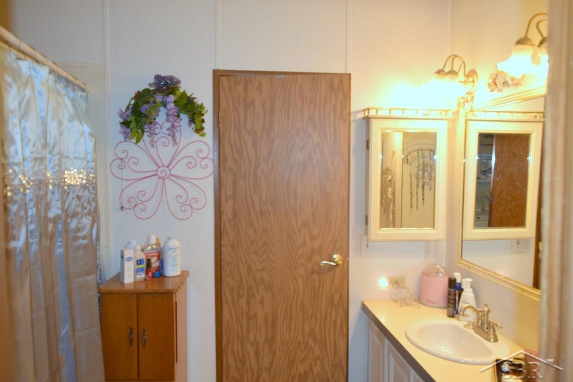 6296 Judd Road Birch Run, MI 48415 - Photo 9 of 15 Master bath