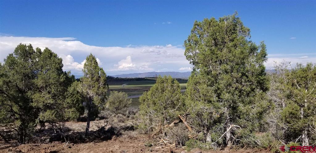 6794 County Road 318 Ignacio, CO 81137 - Photo 2 of 4 a view of a flower in a garden