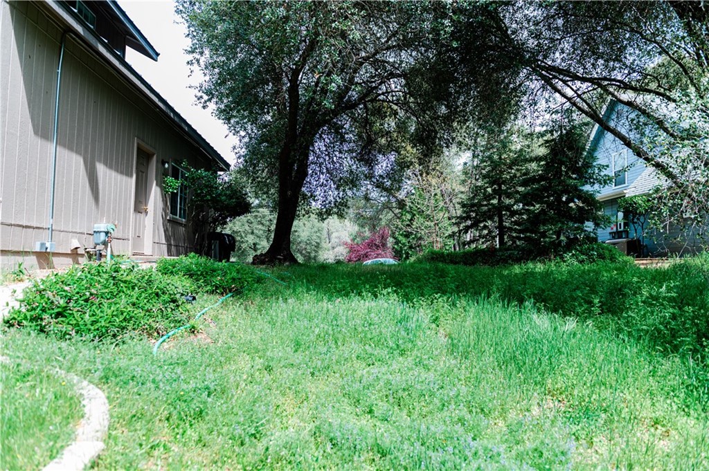 39301 Moonray Lane Oakhurst, CA 93644 - Photo 40 of 41 a yard with potted plants and large trees