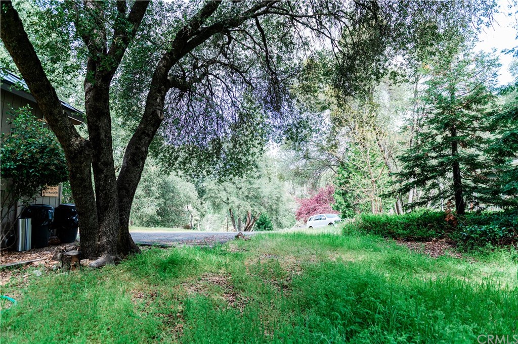 39301 Moonray Lane Oakhurst, CA 93644 - Photo 41 of 41 a view of an trees with a yard