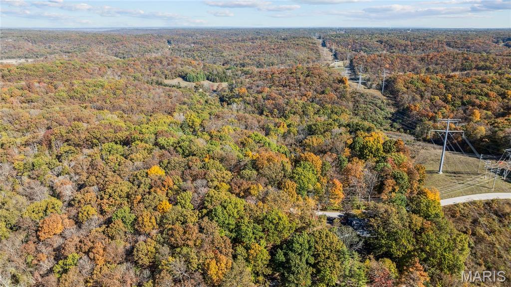 3476 Bassett Road Pacific, MO 63069 - Photo 13 of 18