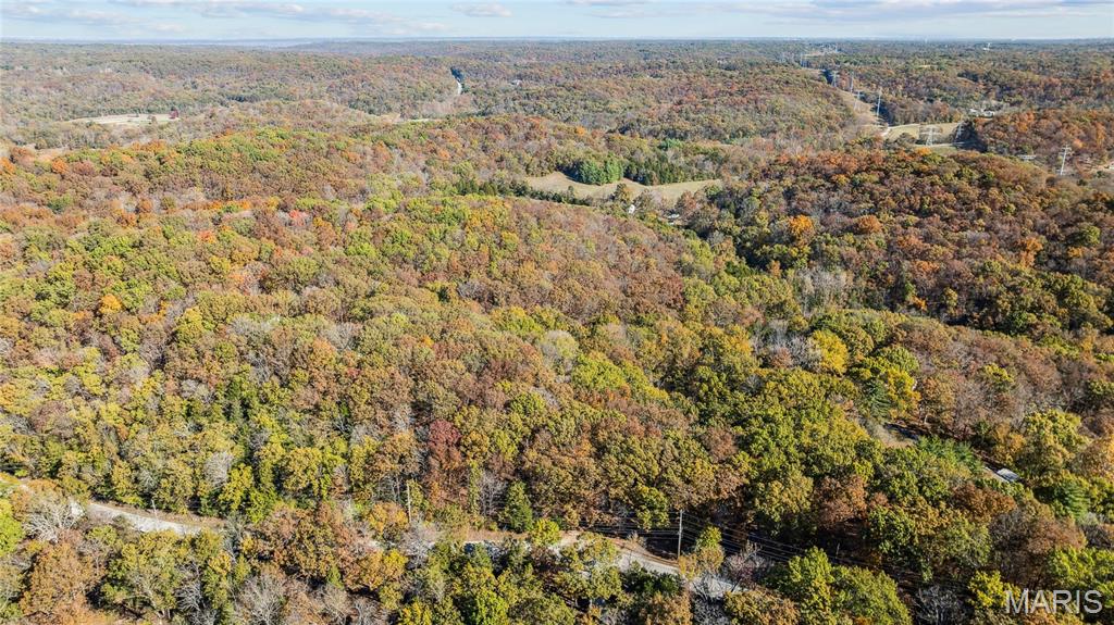 3476 Bassett Road Pacific, MO 63069 - Photo 4 of 18