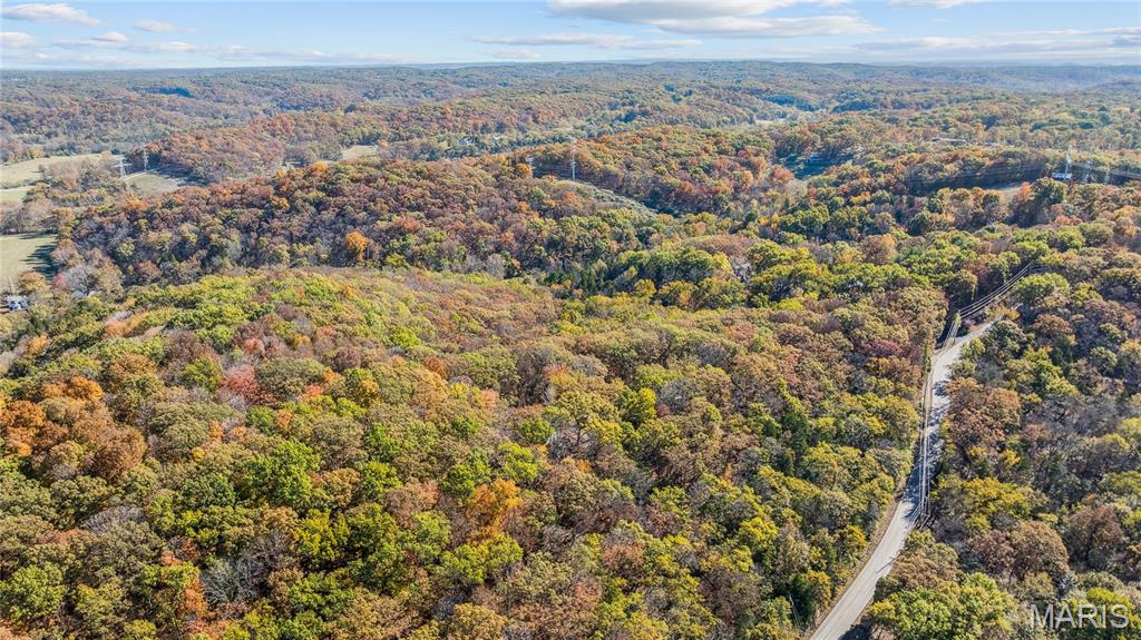 3476 Bassett Road Pacific, MO 63069 - Photo 6 of 18