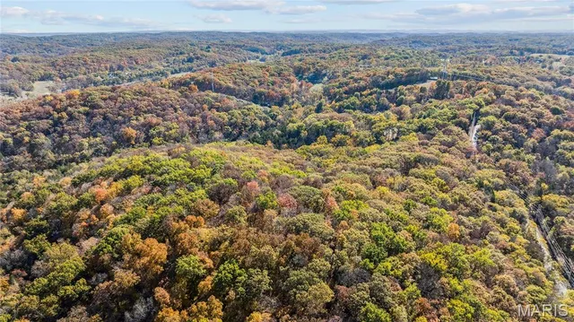 $1,200,000 | 3476 Bassett Road, Pacific, MO 63069