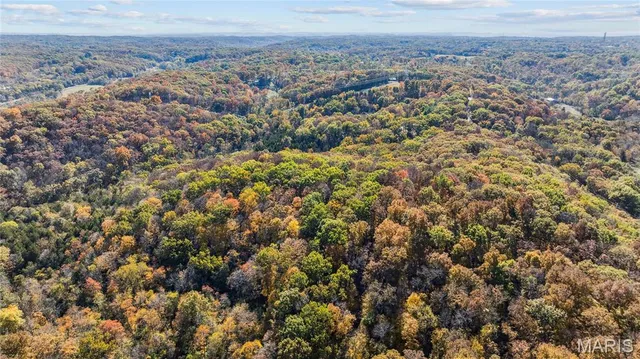 $1,200,000 | 3476 Bassett Road, Pacific, MO 63069