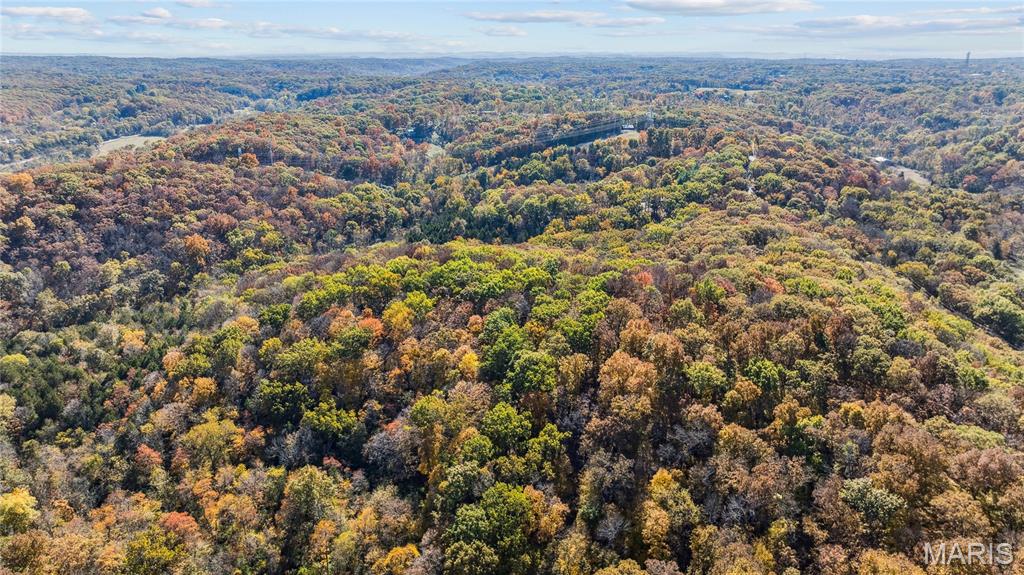 3476 Bassett Road Pacific, MO 63069 - Photo 8 of 18