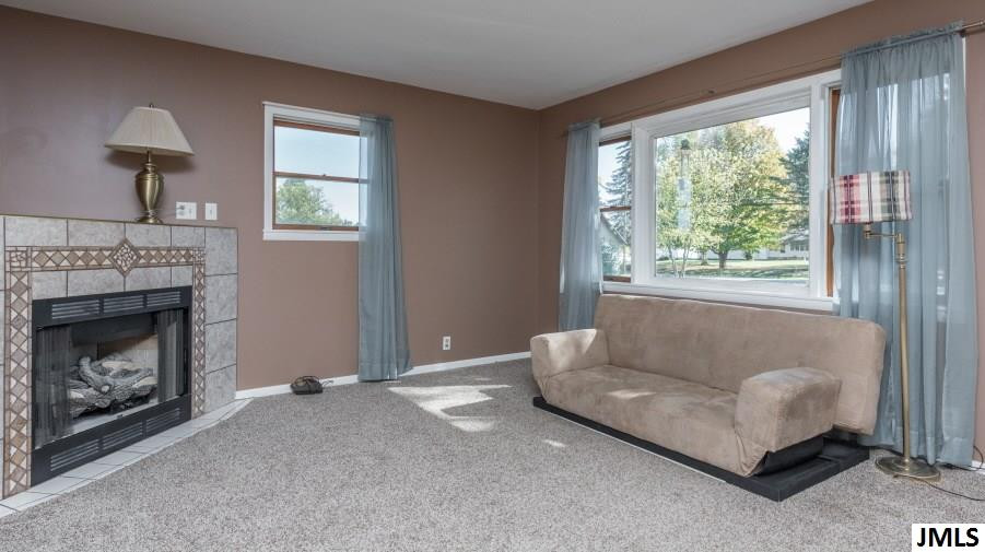 404 County Line Road Cement City, MI 49233 - Photo 10 of 24 Photo 10