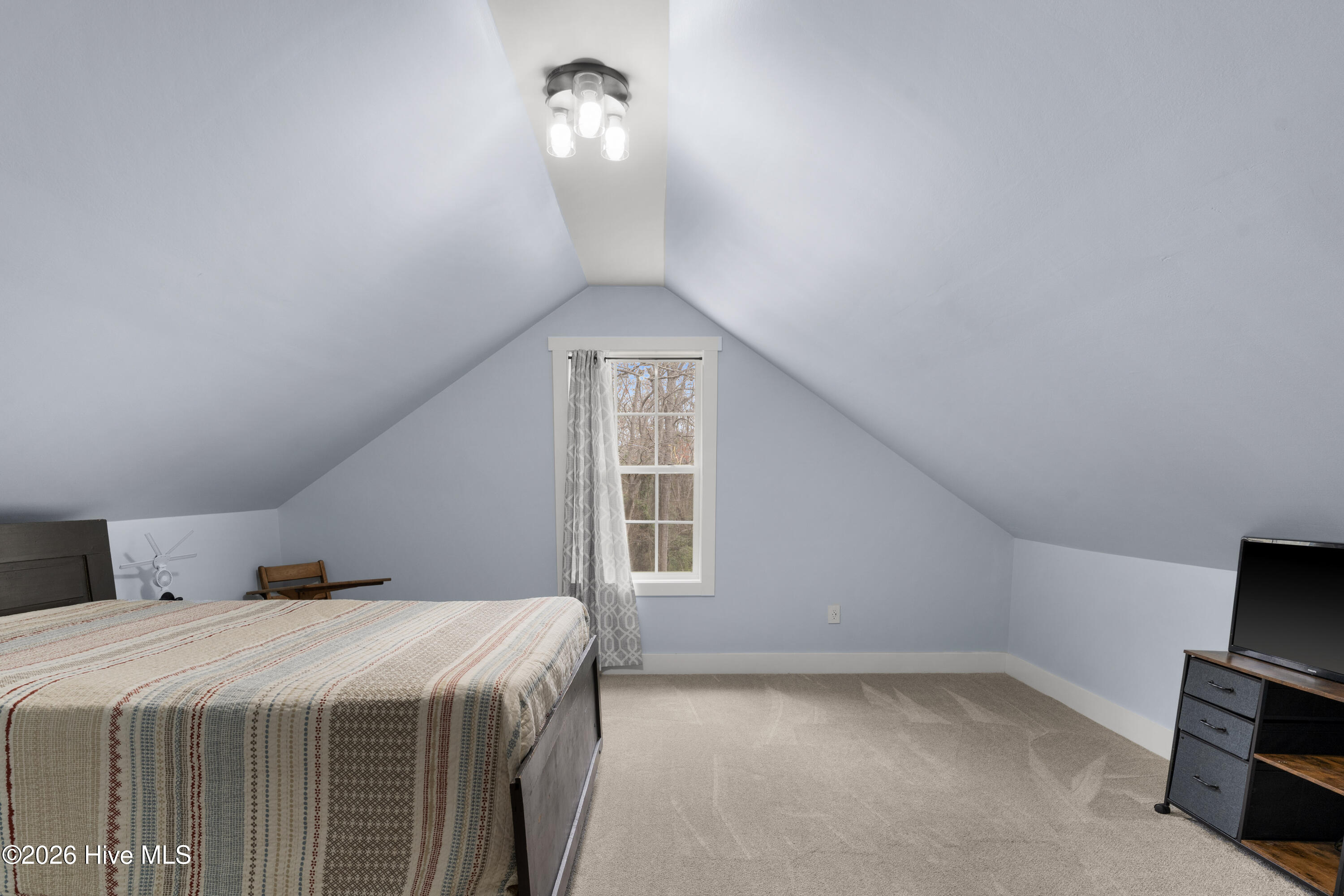 259 Heathers Folly Road Willard, NC 28478 - Photo 45 of 84 45-DSC04526