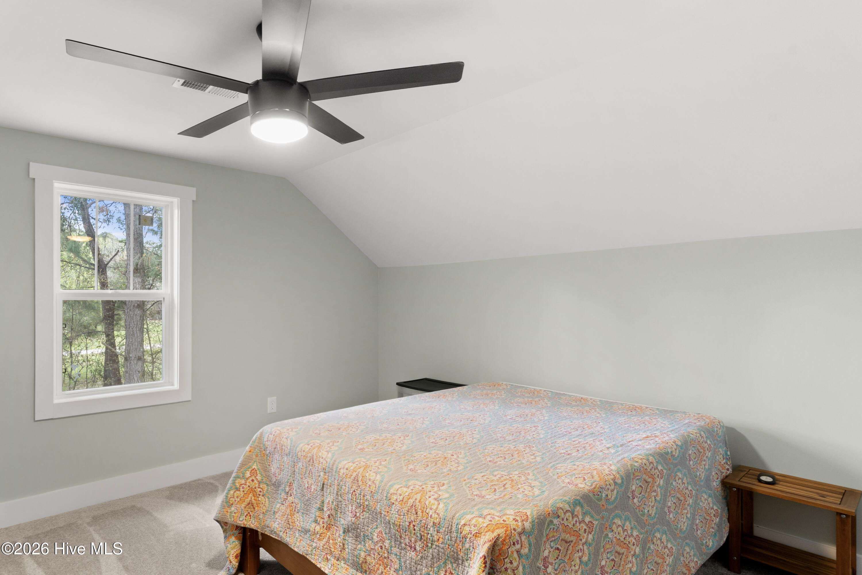 259 Heathers Folly Road Willard, NC 28478 - Photo 48 of 84 48-DSC04535