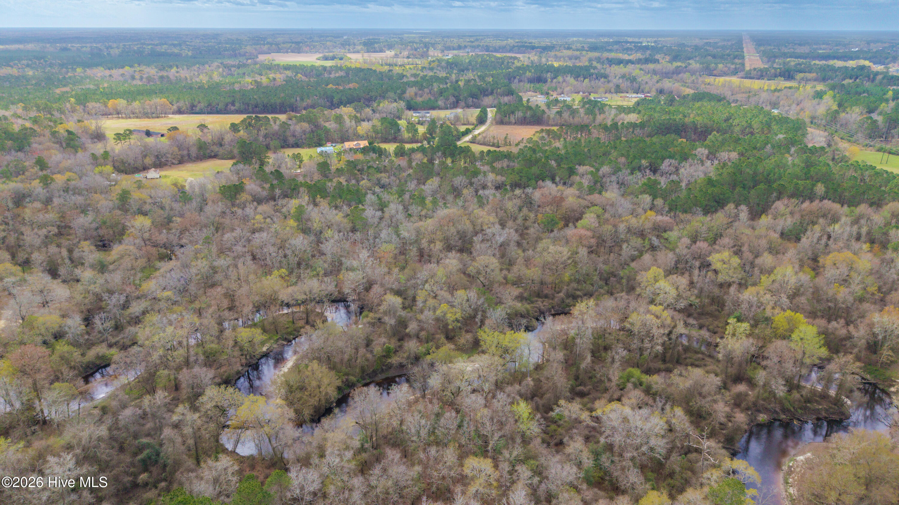 259 Heathers Folly Road Willard, NC 28478 - Photo 50 of 84 50-DJI_20260315234502_0066_D-HDR