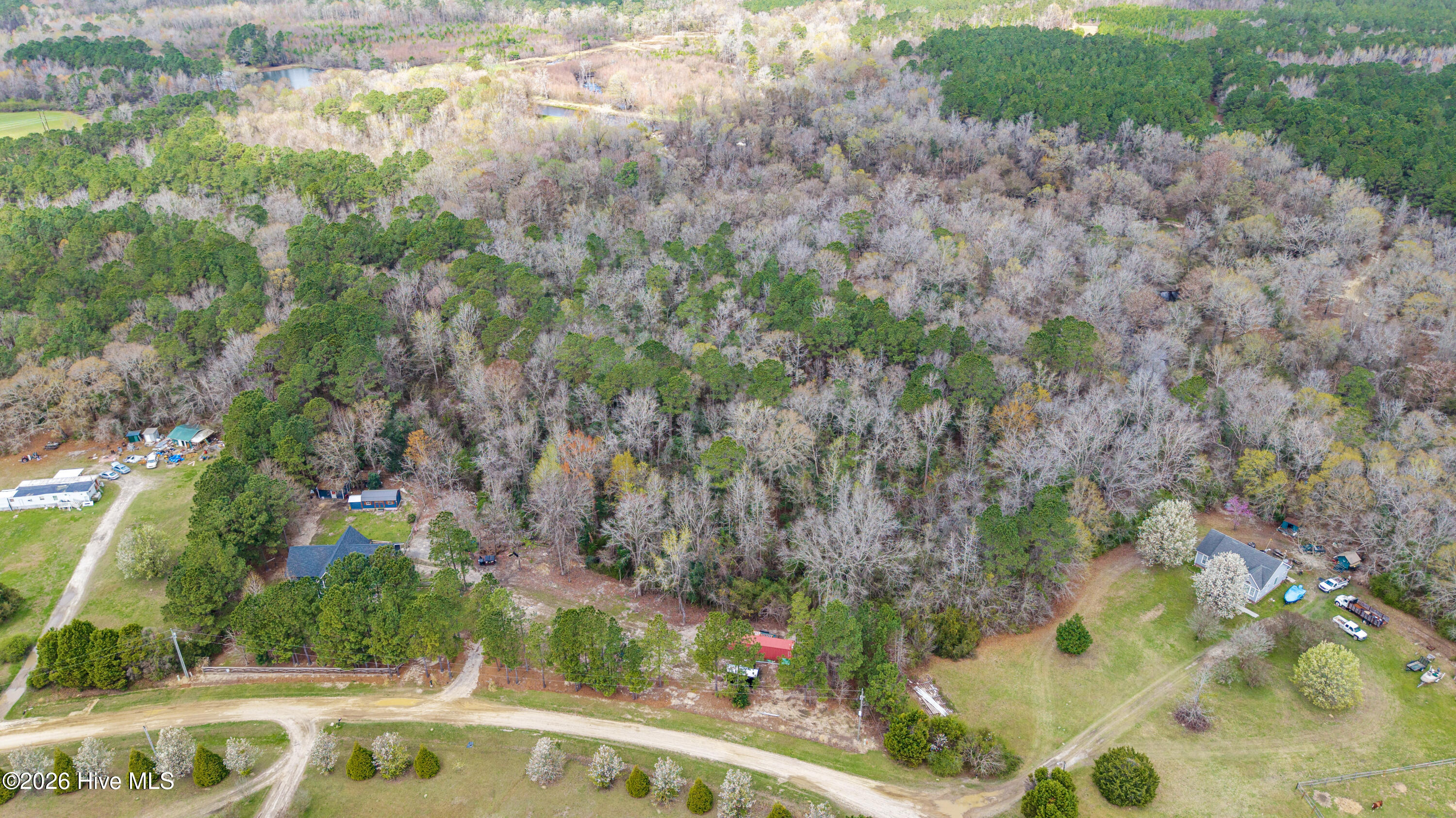 259 Heathers Folly Road Willard, NC 28478 - Photo 51 of 84 51-DJI_20260315234740_0072_D-HDR