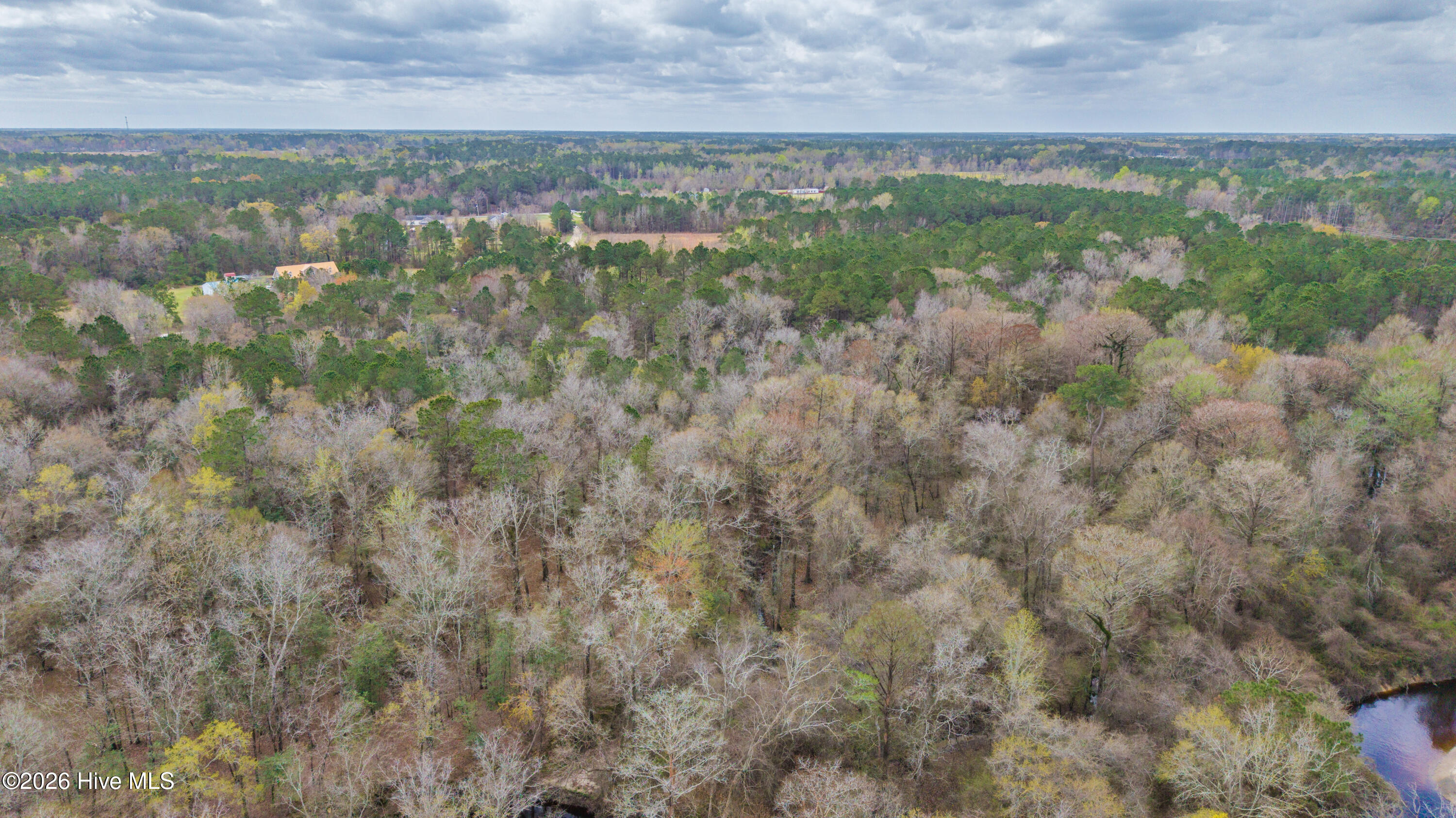 259 Heathers Folly Road Willard, NC 28478 - Photo 56 of 84 56-DJI_20260315235133_0087_D-HDR