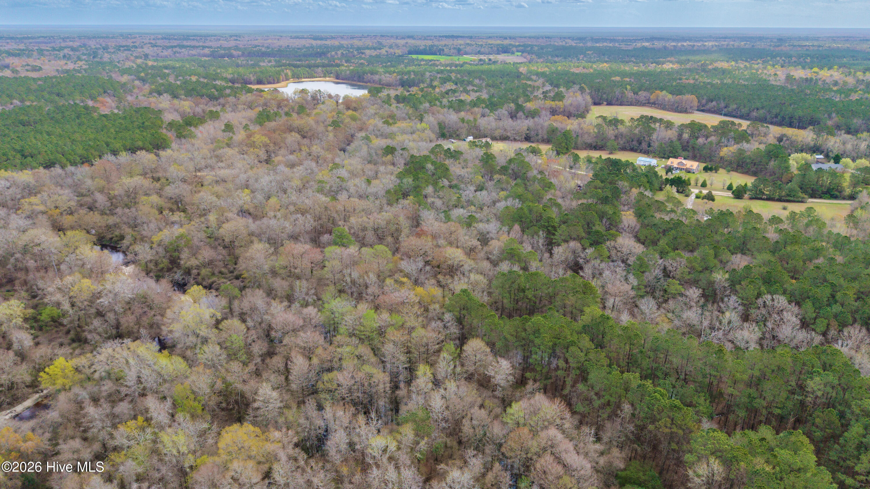 259 Heathers Folly Road Willard, NC 28478 - Photo 81 of 84 88-DJI_20260315234422_0063_D-HDR