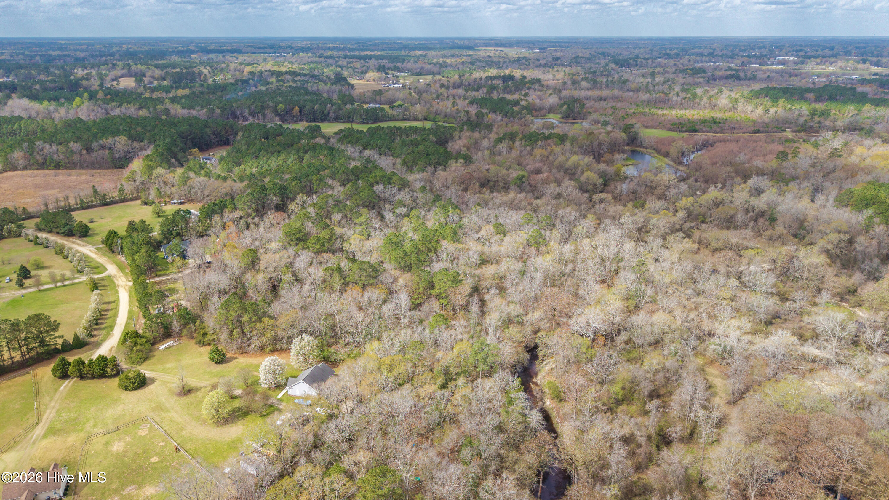 259 Heathers Folly Road Willard, NC 28478 - Photo 83 of 84 90-DJI_20260315234617_0069_D-HDR