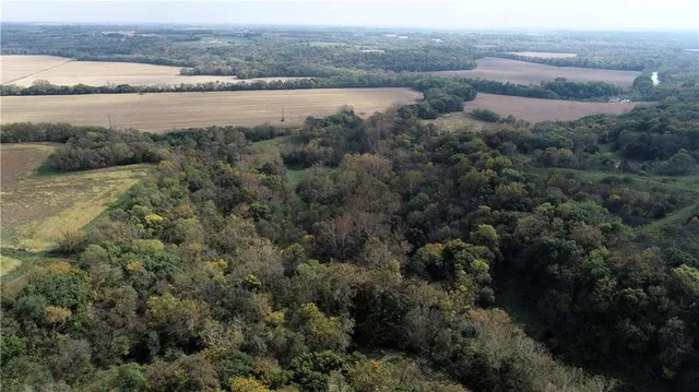 $10,000 | 3 County Road 344 Road, Savannah, MO 64485