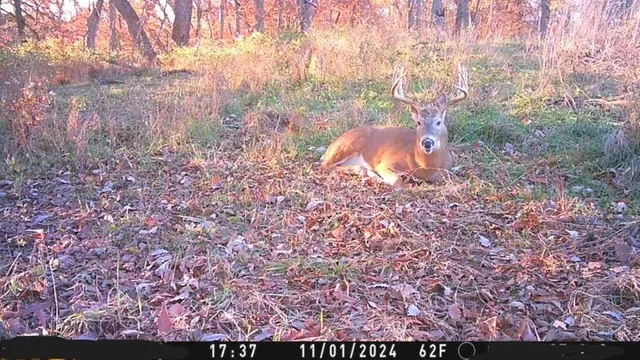 $10,000 | 3 County Road 344 Road, Savannah, MO 64485