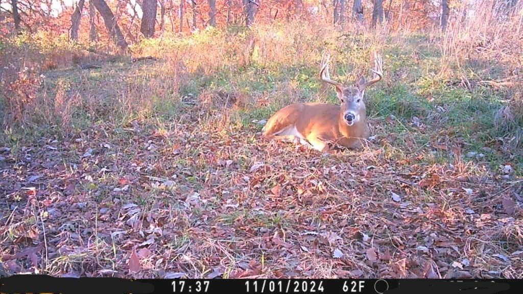 3 County Road 344 Road Savannah, MO 64485 - Photo 11 of 38