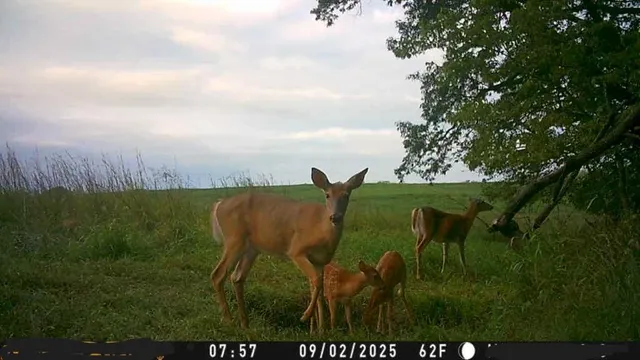 $10,000 | 3 County Road 344 Road, Savannah, MO 64485