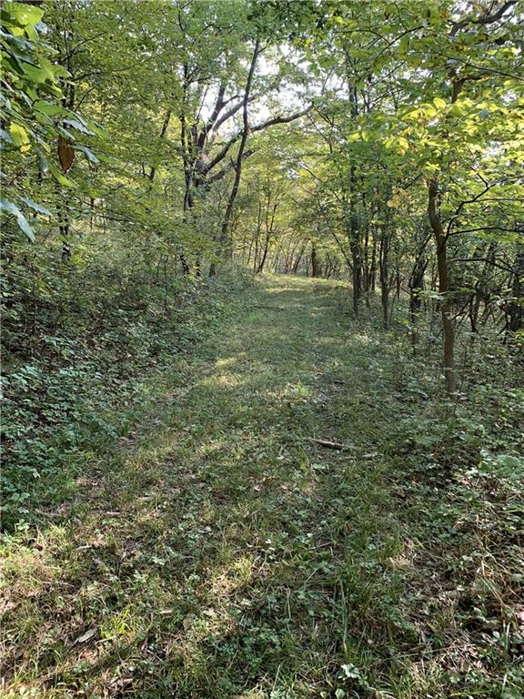 3 County Road 344 Road Savannah, MO 64485 - Photo 15 of 38