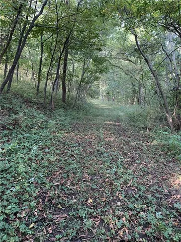 $10,000 | 3 County Road 344 Road, Savannah, MO 64485