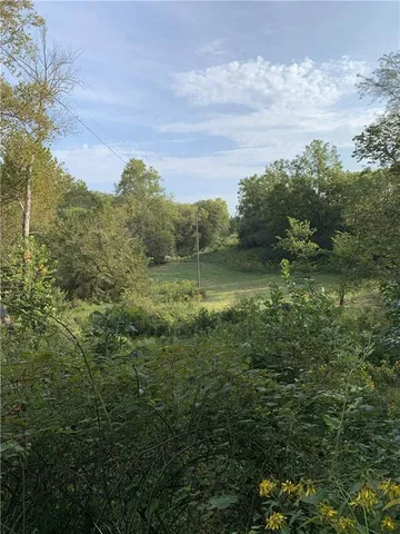 $10,000 | 3 County Road 344 Road, Savannah, MO 64485