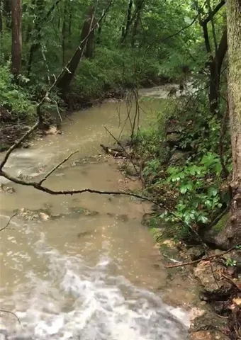 $10,000 | 3 County Road 344 Road, Savannah, MO 64485