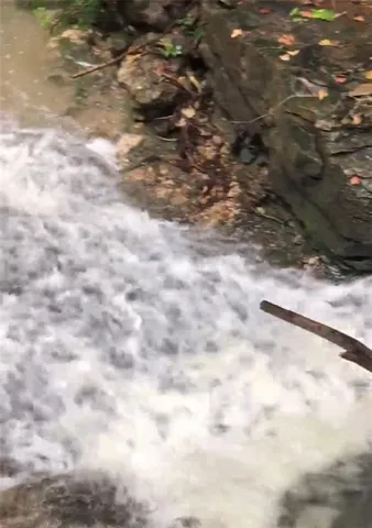 $10,000 | 3 County Road 344 Road, Savannah, MO 64485