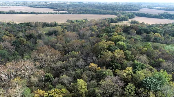 $10,000 | 3 County Road 344 Road, Savannah, MO 64485