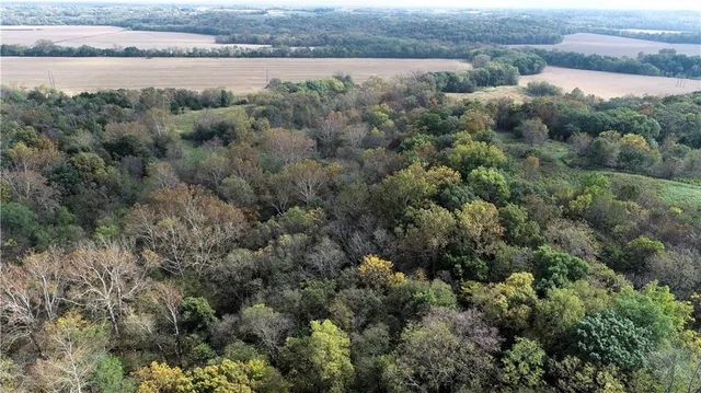 $10,000 | 3 County Road 344 Road, Savannah, MO 64485