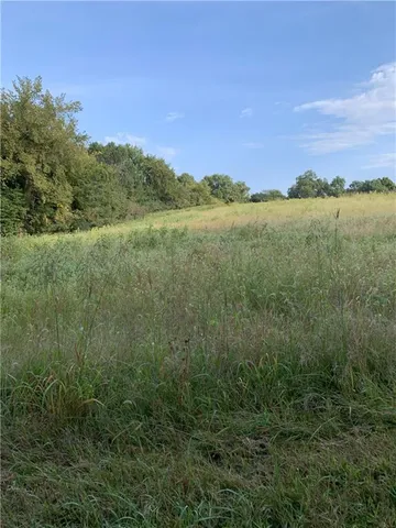 $10,000 | 3 County Road 344 Road, Savannah, MO 64485