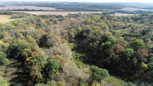 $10,000 | 3 County Road 344 Road, Savannah, MO 64485