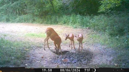 $10,000 | 3 County Road 344 Road, Savannah, MO 64485