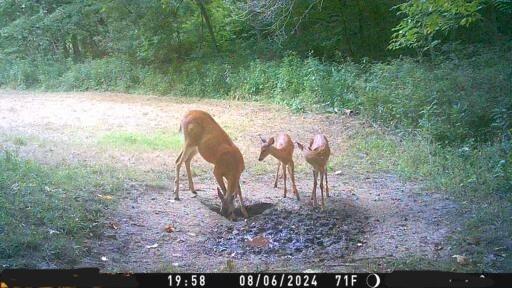 3 County Road 344 Road Savannah, MO 64485 - Photo 32 of 38