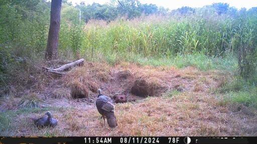 3 County Road 344 Road Savannah, MO 64485 - Photo 34 of 38