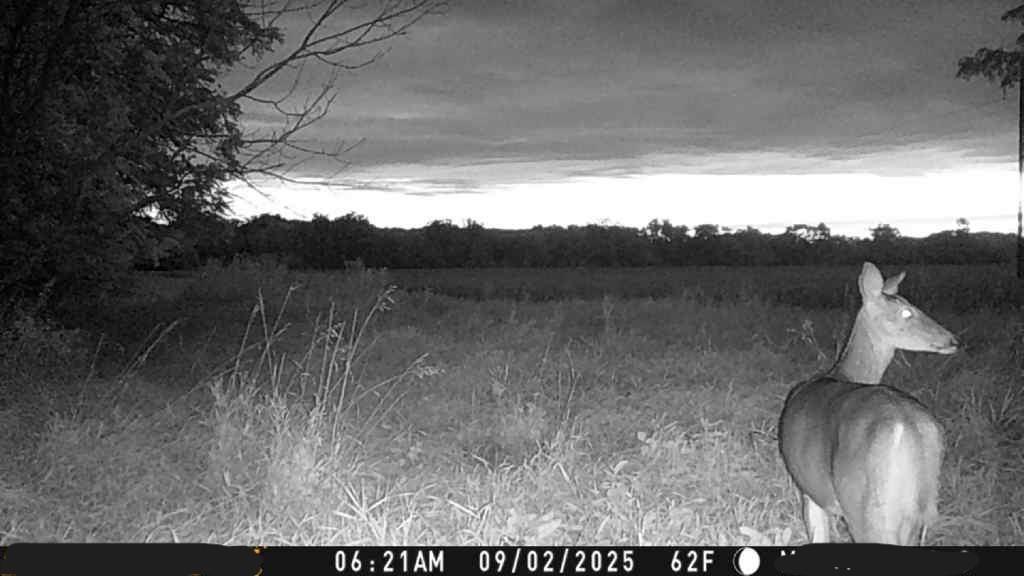 3 County Road 344 Road Savannah, MO 64485 - Photo 35 of 38