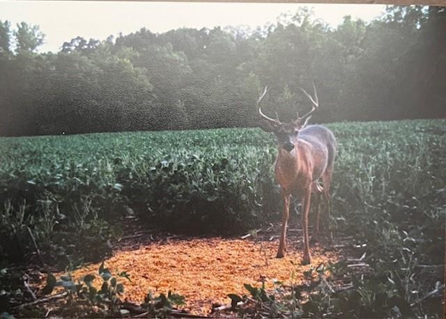 3 County Road 344 Road Savannah, MO 64485 - Photo 36 of 38