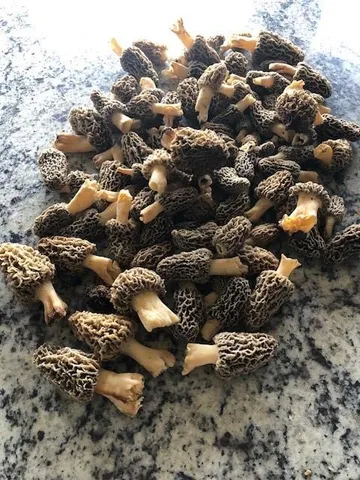 $10,000 | 3 County Road 344 Road, Savannah, MO 64485