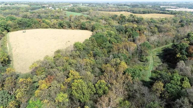 $10,000 | 3 County Road 344 Road, Savannah, MO 64485