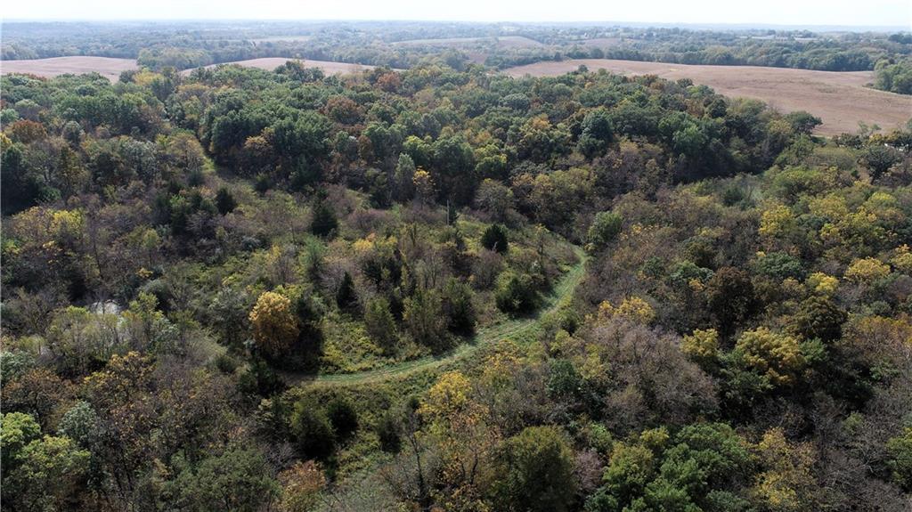 3 County Road 344 Road Savannah, MO 64485 - Photo 9 of 38