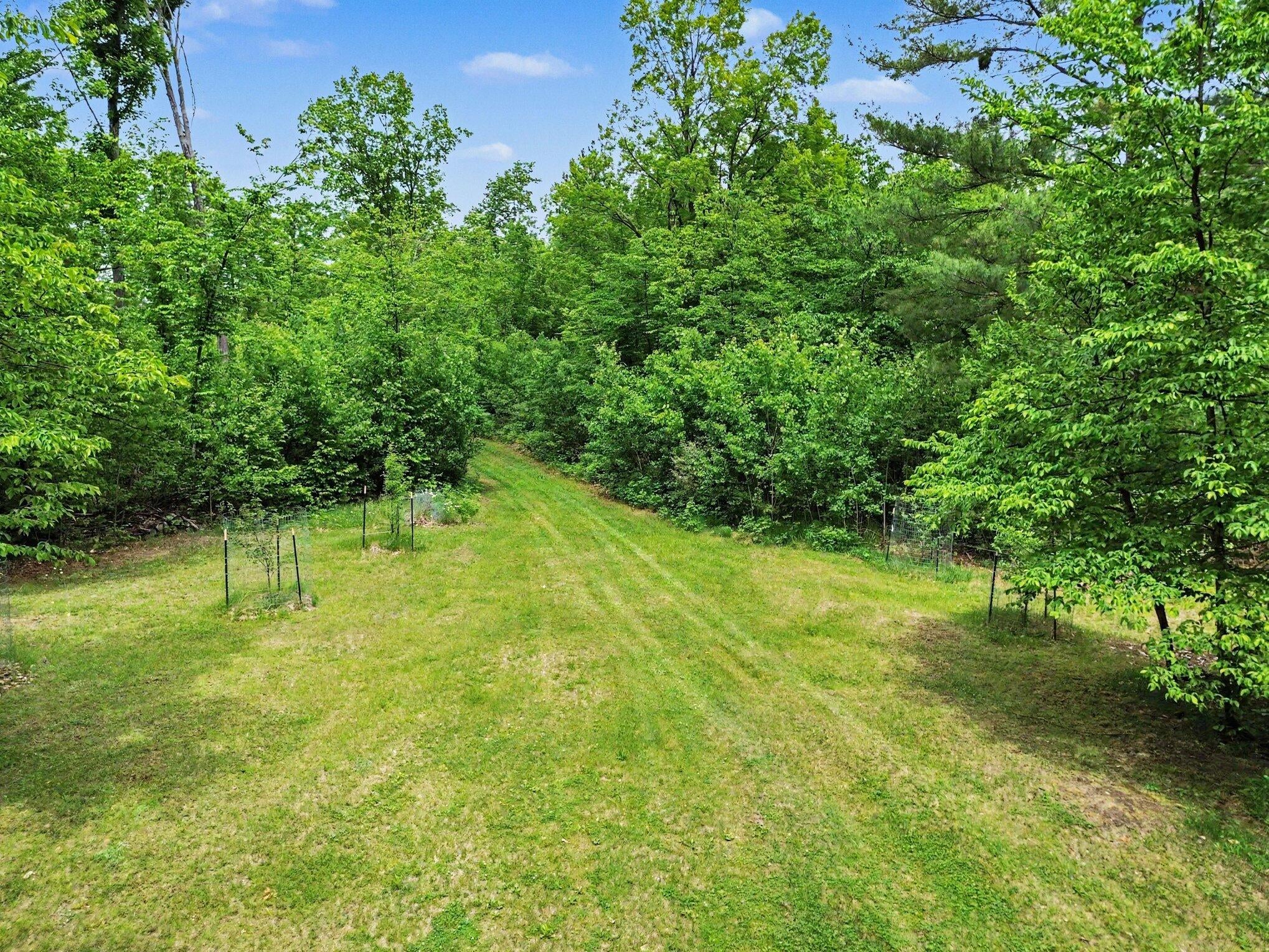 1510 Rogers Road Fairview, MI 48621 - Photo 11 of 61 Gallery Image 11
