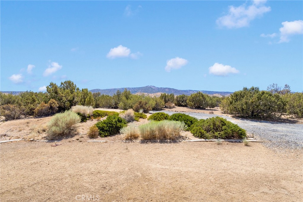 1220 Hollister Road Pinon Hills, CA 92372 - Photo 40 of 49