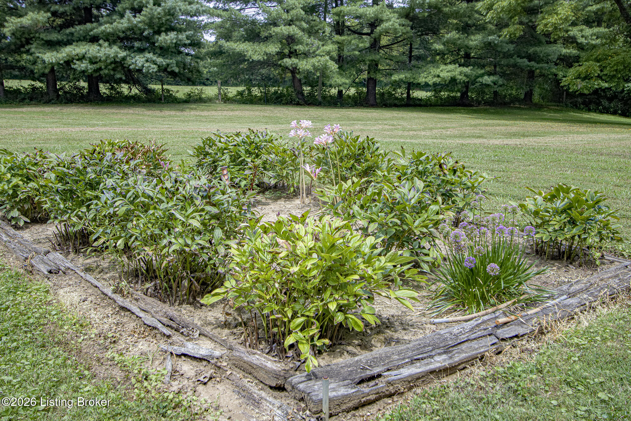 8415 Independence School Road Louisville, KY 40228 - Photo 55 of 58 Independence-54