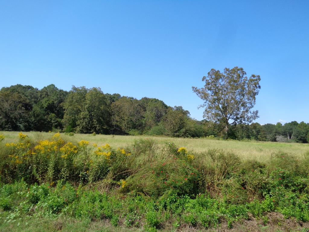 8-ac Womack Road Cottonwood, AL 36320 - Photo 1 of 1