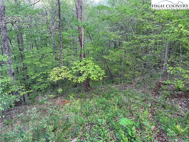 $47,900 | Tbd Lot #21 R Tbd Ridge, Todd, NC 28684