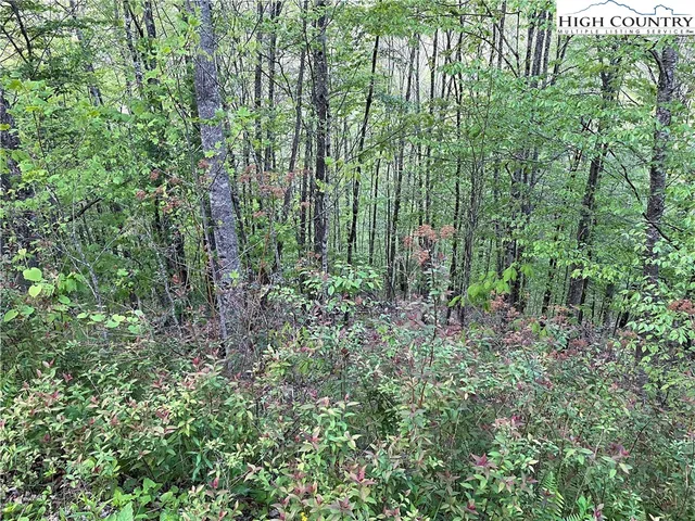 $47,900 | Tbd Lot #21 R Tbd Ridge, Todd, NC 28684